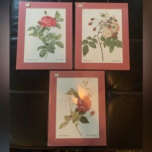 Vintage rose prints! Still in plastic- NEW!